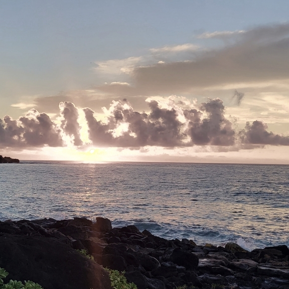 Meet your Posher, Angel - Picture 1 of 1